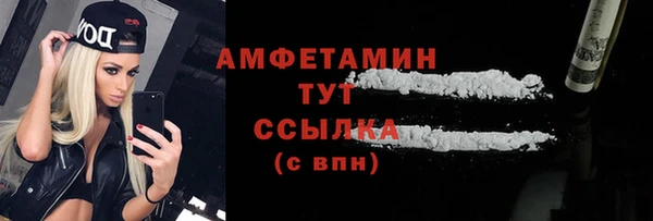 индика Щёлкино