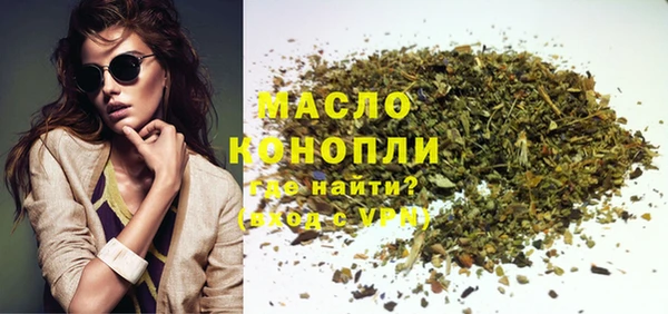 ECSTASY Ельня