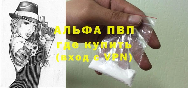 ECSTASY Ельня