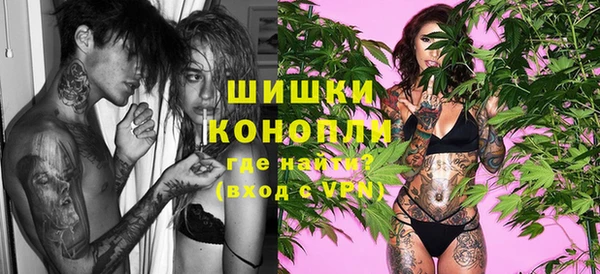 ECSTASY Ельня