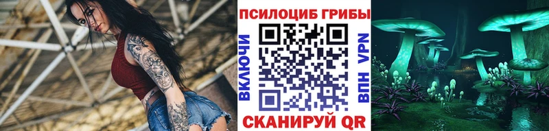 Галлюциногенные грибы MAGIC MUSHROOMS наркошоп Славянск-на-Кубани