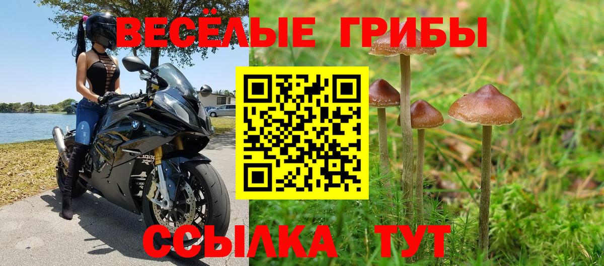 Славянск-на-Кубани  Галлюциногенные грибы MAGIC MUSHROOMS  Вход с VPN  Галлюциногенные грибы MAGIC MUSHROOMS 