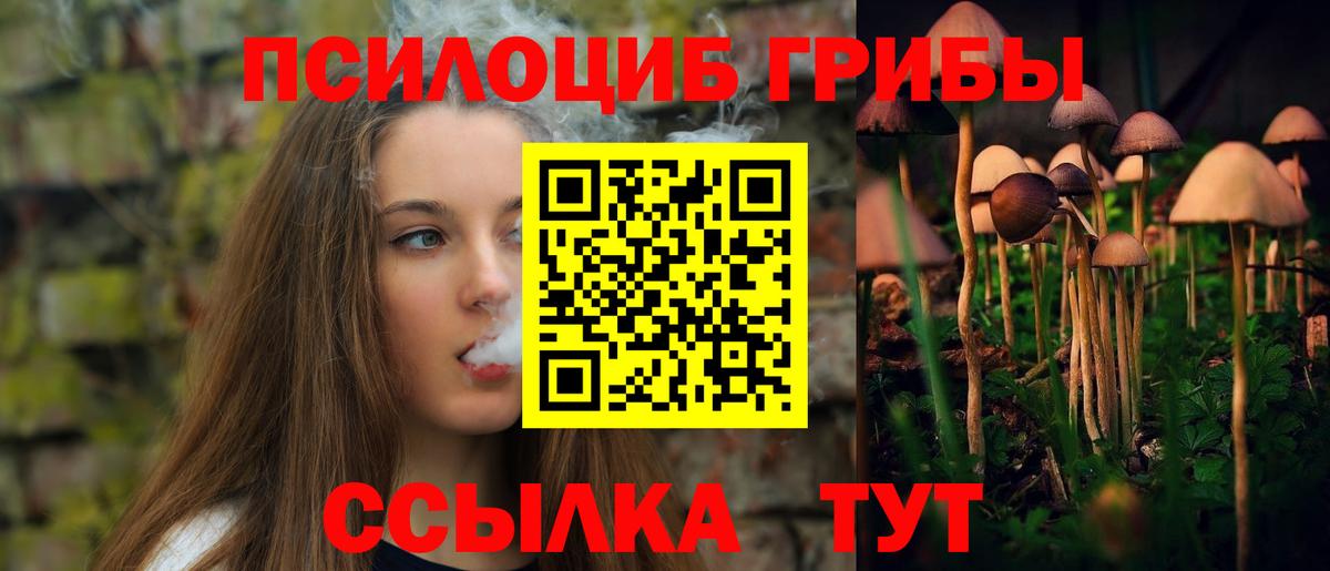 Бошки Шишки Славянск-на-Кубани