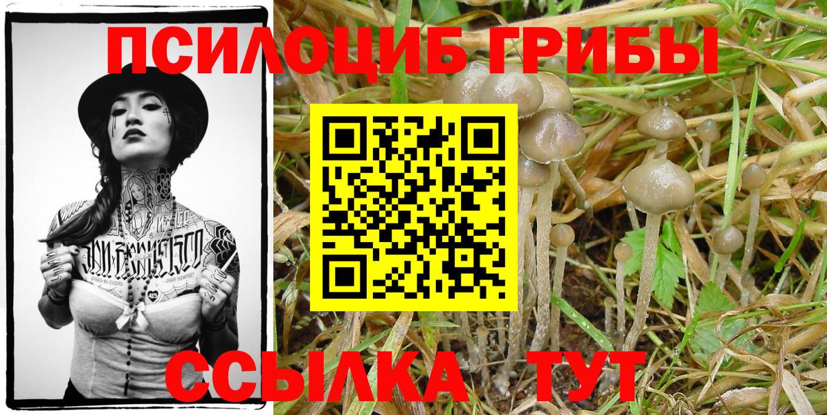 Галлюциногенные грибы Magic Shrooms  Славянск-на-Кубани 