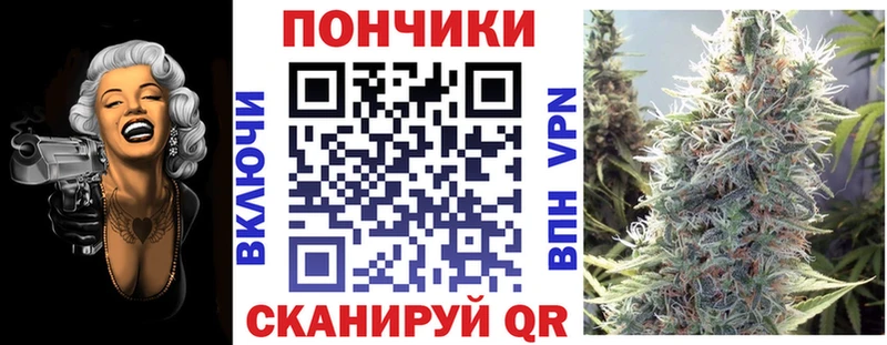 Бошки Шишки семена Славянск-на-Кубани